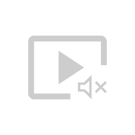 Video no sound